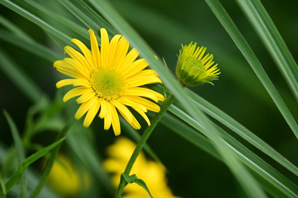 夜泣きに悩む赤ちゃんにおすすめのお守りの効果は？