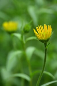 夜泣きの相談に利用できる無料サービスは？