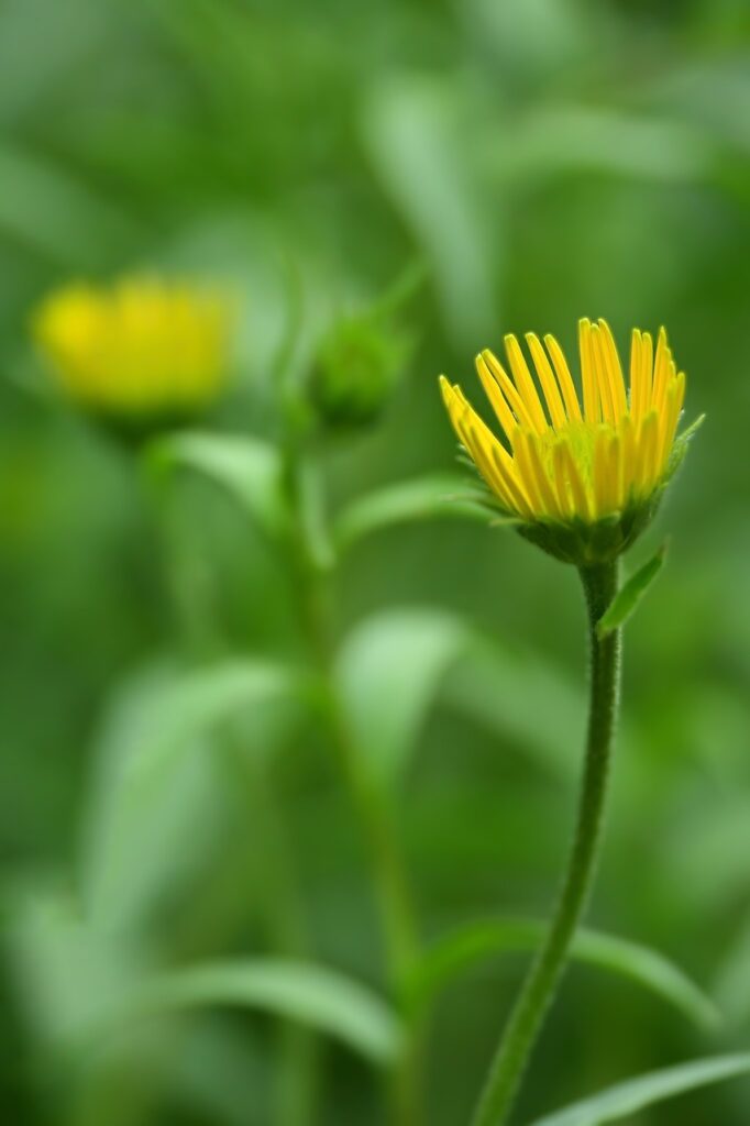 夜泣きの相談に利用できる無料サービスは？