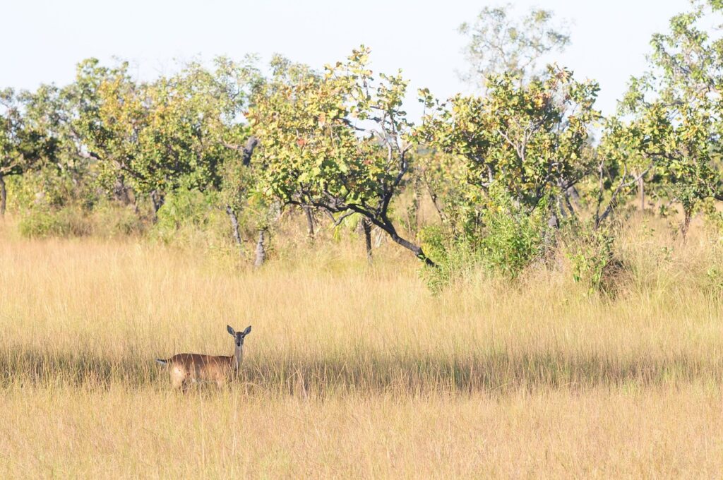 モロー反射はいつまで続くの？