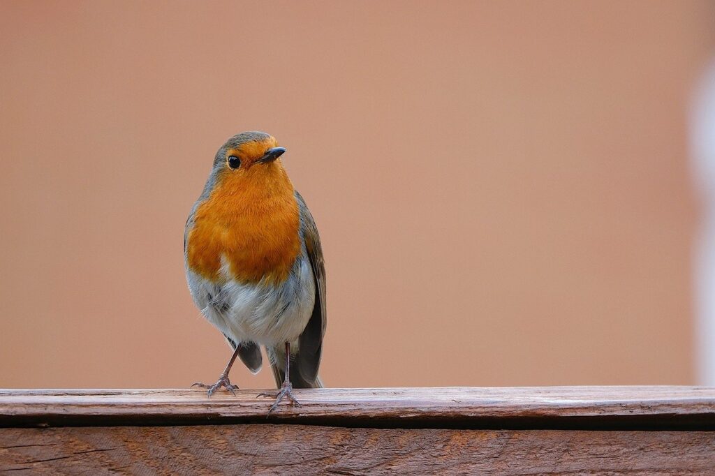 ミルクが足りてるのに赤ちゃんが泣き止まない理由は？