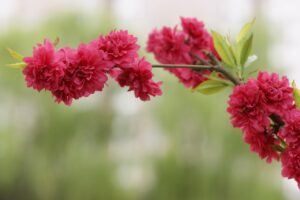 原因不明で泣き止まない赤ちゃんの対処法は？