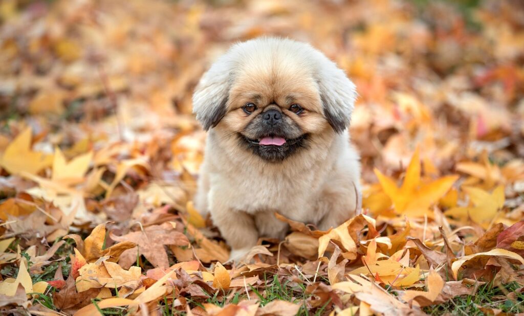 バウンサーで赤ちゃんが泣く理由とその対処法は？