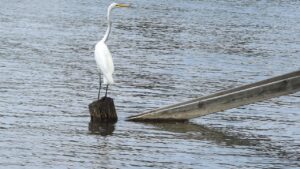 夜泣きはいつまで続くのか、悩む親必見の解説は？