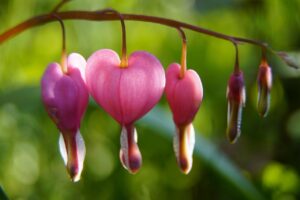 黄昏に泣きたくなる気持ちはいつから始まるの？