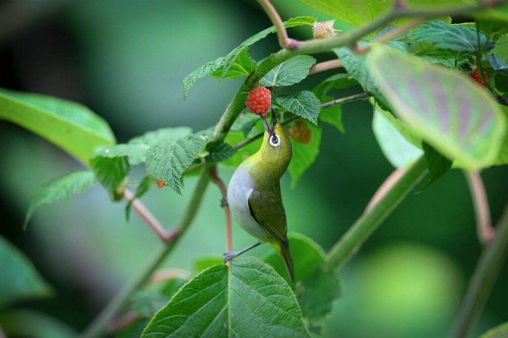 お腹いっぱいなのに泣き止まない赤ちゃんの対処法は？