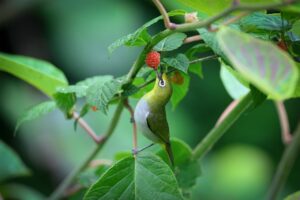 お腹いっぱいなのに泣き止まない赤ちゃんの対処法は？