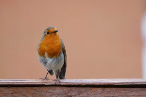 添い乳をやめたら泣き止まない理由とは？