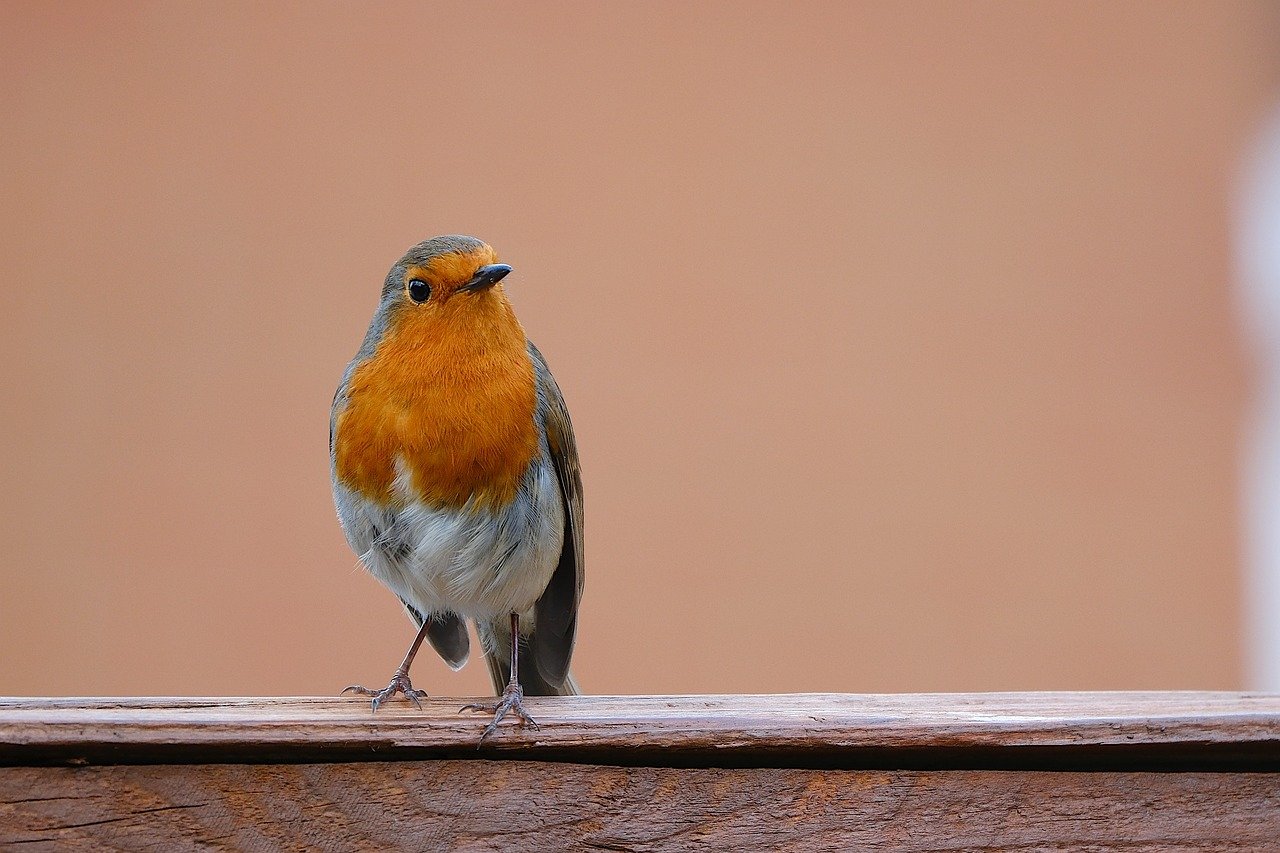 添い乳をやめたら泣き止まない理由とは？